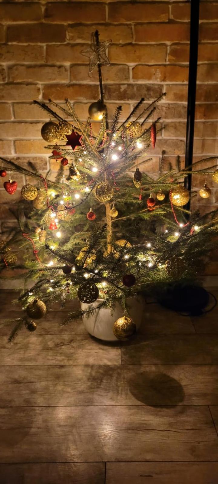Domek Na Pagorku Lwowek Slaski Esterno foto