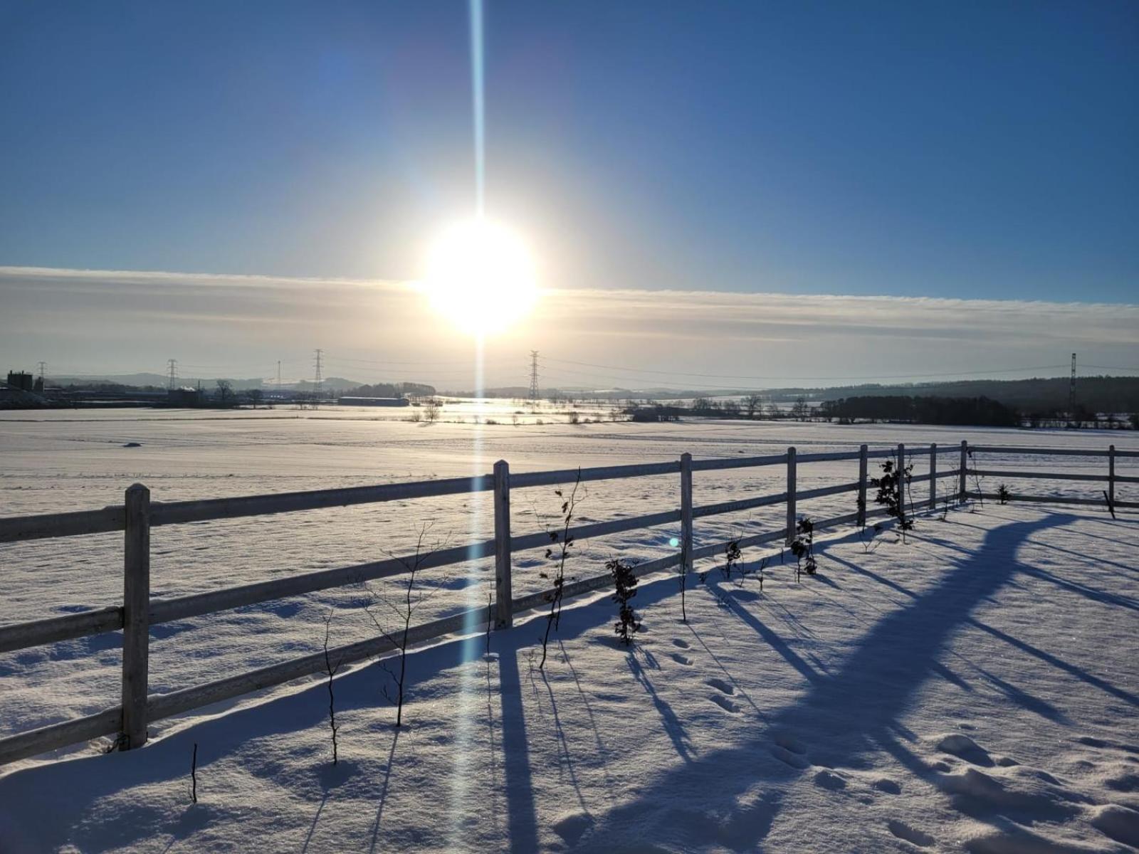 Domek Na Pagorku Lwowek Slaski Esterno foto